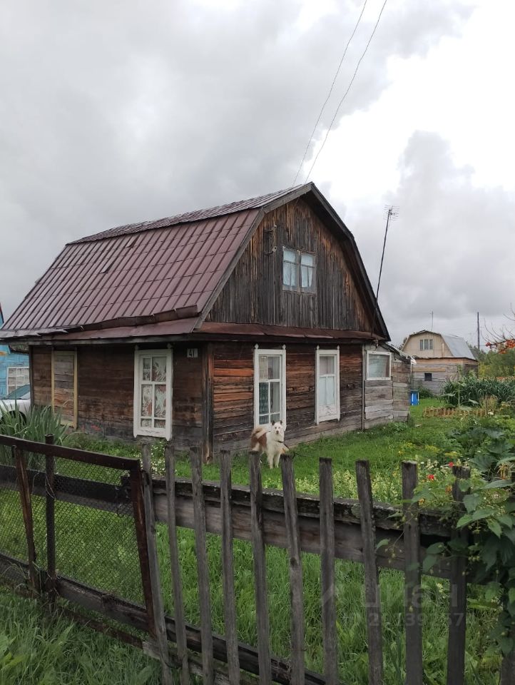 шагалово новосибирская область. чика дача. шагаловский новосибирск. чика дача. чика дача.