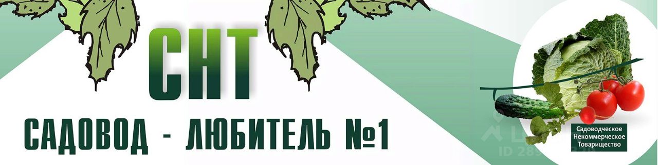 Садовник мультяшный. Магазин садовод. Снт садовод курган. Дача 5 соток. Дома садовод любитель.