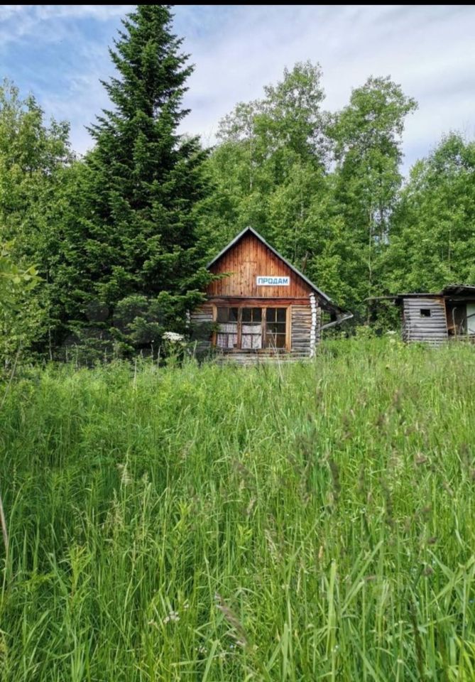 Деревня малая еловая. Красивые дачи фото.