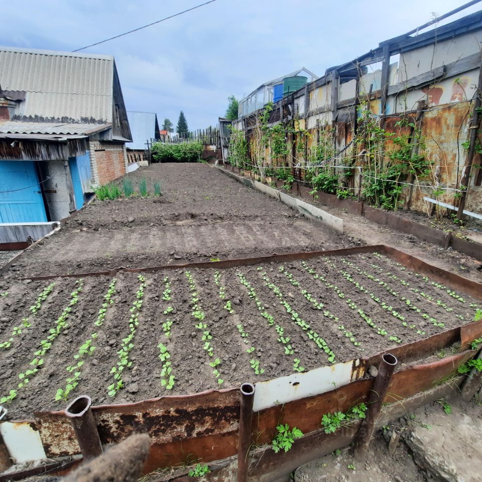 Купить дачу, участок без посредников в Бердске, 14 объявлений о продаже  загородной недвижимости по цене от 400 тыс ₽ на N1.