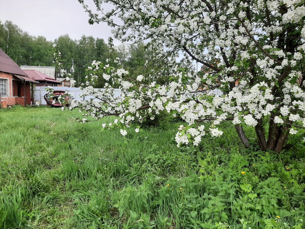 Купить дачу, участок в Новосибирске, 446 объявлений о продаже загородной  недвижимости по цене от 350 тыс ₽ на N1.