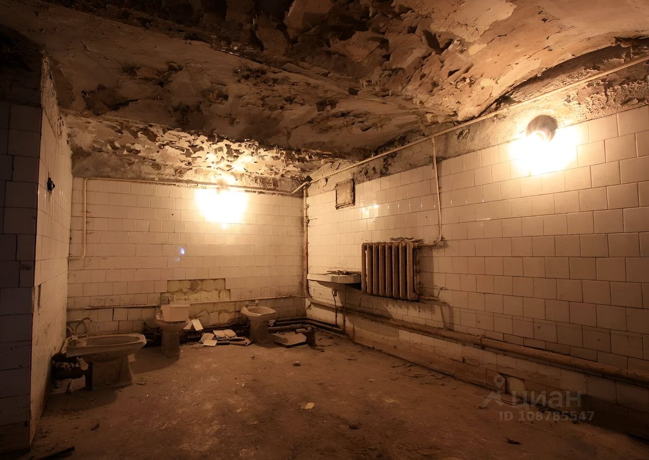 Аренда старых помещений. Заброшенный подвал. Старый подвал. Подвальное помещение заброшенное. Школьный подвал.