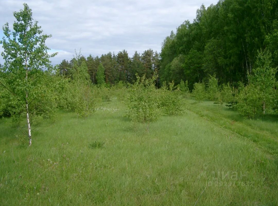 Земельный участок арамиль