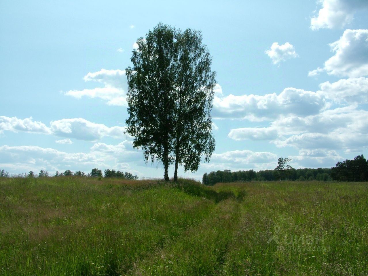 Село светлая поляна