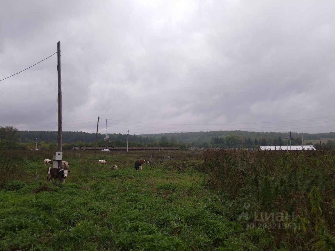 Купить земельный участок в Еловом, 15 объявлений о продаже загородной  недвижимости по цене от 250 тыс ₽ на N1.