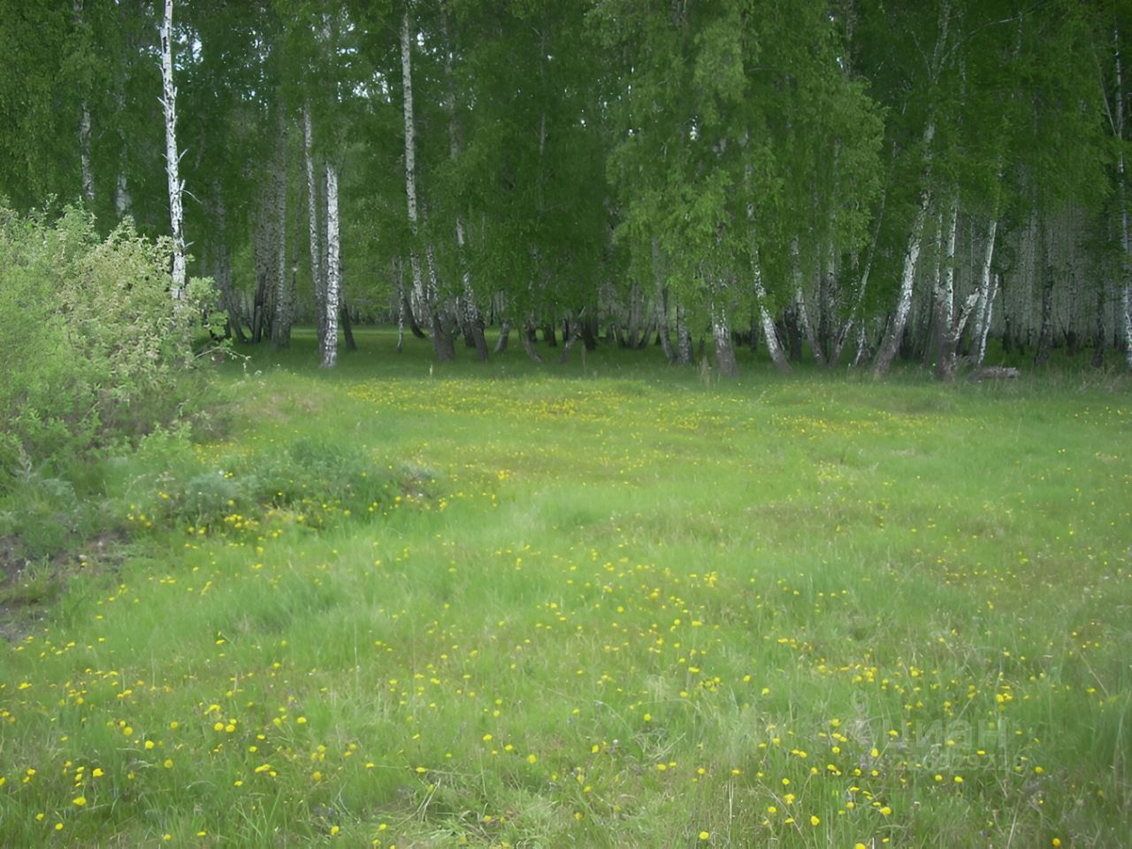 Купить земельный участок в Лесной Поляне, 7 объявлений о продаже загородной  недвижимости по цене от 30 тыс ₽ на N1.