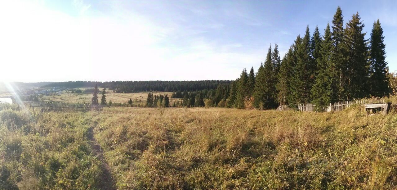 Участок в нижнем. Лес нижние Серги. Нижние Серги красивый лес правда. Купить участок в нижних Сергах. Земля под ИЖС В нижних Сергах цена с фото.