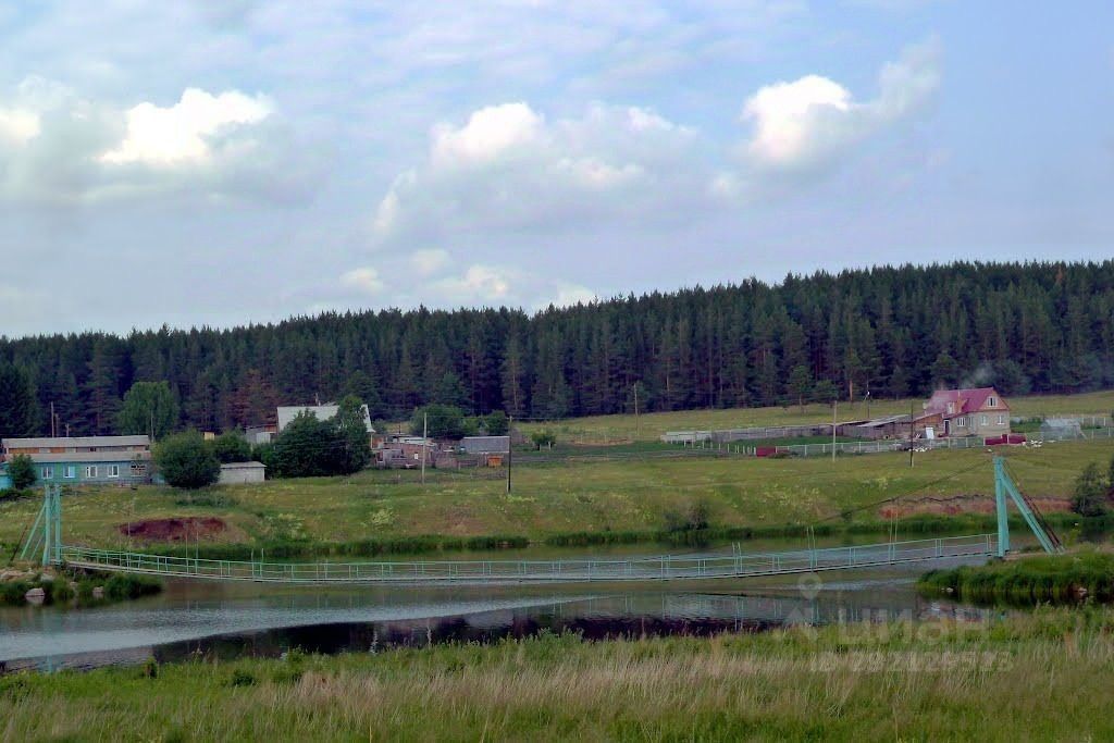 Село новопышминское свердловская область. Новопышма Сухоложский район. С Новопышминское ул Лесная. Лес село Знаменское Сухоложский район леса. Бутон Свердловская область.