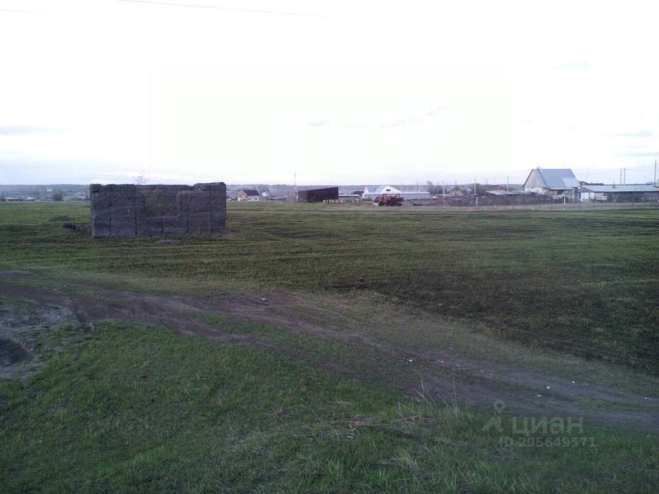 Погода в новом шарапе на 14. Деревня новый Шарап Новосибирская. Шарап Новосибирская область. Новый Шарап.