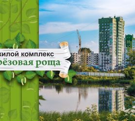 белая береза краснодар. парковый жк кемерово фпк. покровка барнаул березовая роща. фотообои березовая роща в интерьере. жк березовая роща кемерово.