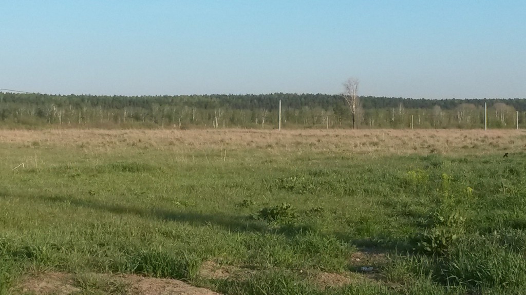 Погода в новокубово. Земельный участок красный. НСО П красный Яр Солнечная 99. Село Кубовая Новосибирская область лес. Село Новокубово фото.