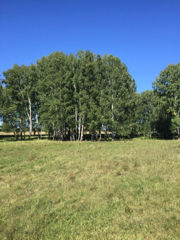 Погода в вагайцево ордынского. Вагайцево Ордынского района. Река Орда село Вагайцево. Картинки Вагайцево. Ордынский район село Вагайцево Новосибирской области картинки.