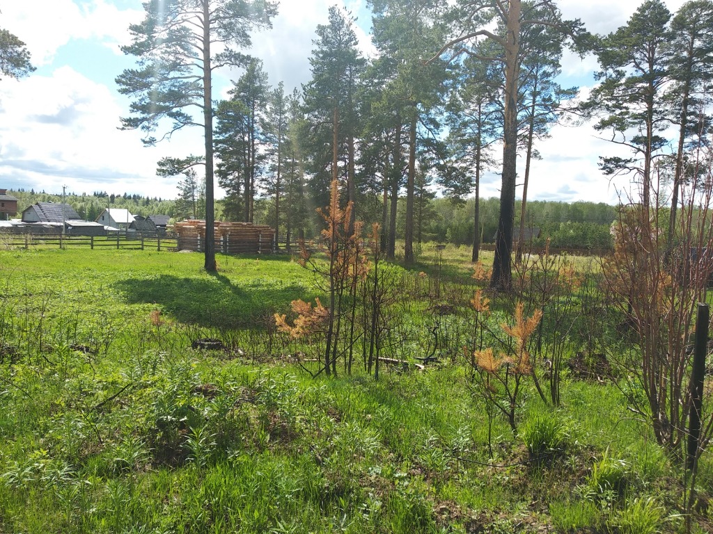 Поселок полевой свердловская область