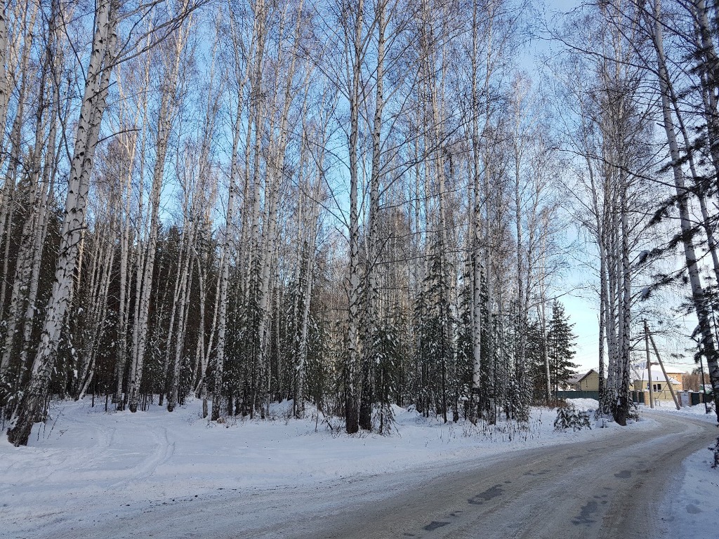 Село новоалексеевское свердловской. Село Новоалексеевское Свердловская область зима. Яснолетово. Зима село Новоалексеевское Свердловская область жилой сектор. Новоалексеевское Свердловская область фото.