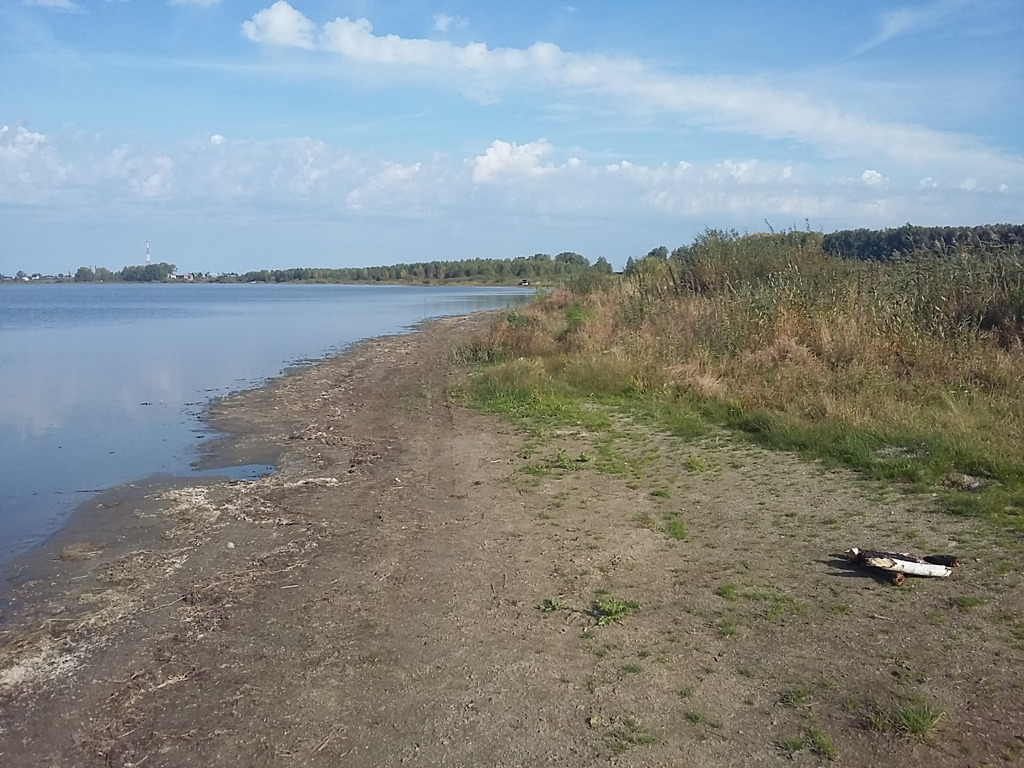 Село щелкун свердловская. Озеро Щелкунское Свердловская область. Село Щелкун Свердловская область. Озеро Щелкун Свердловская. Озеро Щелкун Сысертский район.