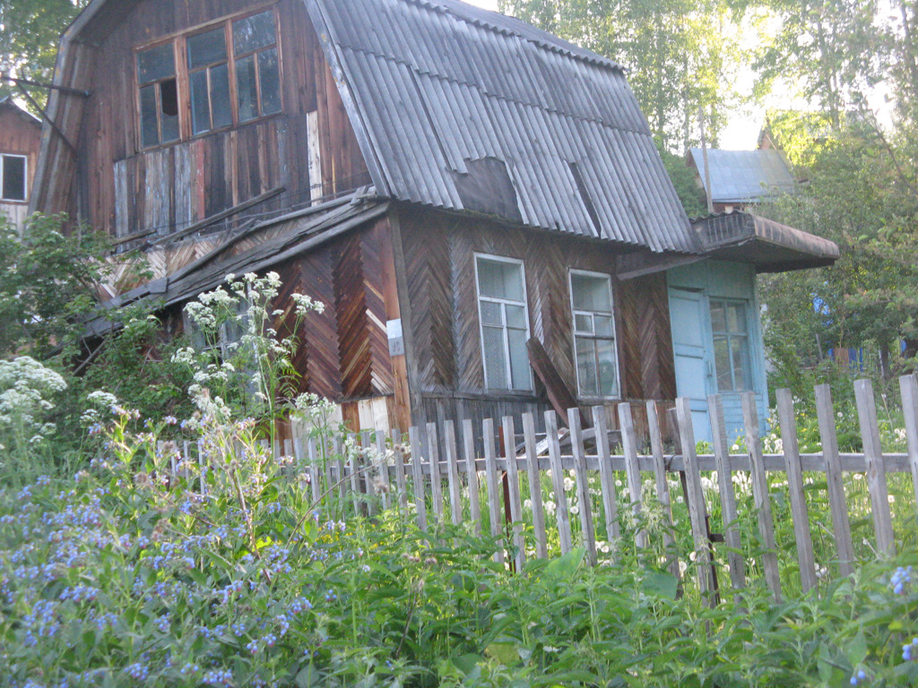 Погода округ дачное. Дачи в Новосибирске. Дачи участки Шагалова 150000. Жилстроевец Новосибирск садовое общество. Дачи до 150000 в Новосибирске.