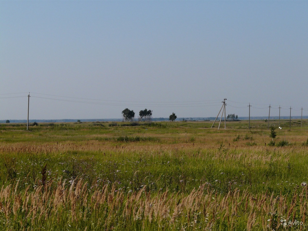 15 га. 15 Гектаров земли фото. 1500 Гектаров фото. 96 Гектаров фото. Сотка мес.