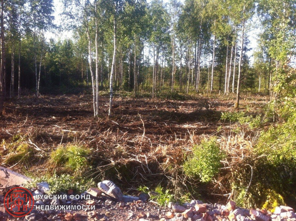 Прогноз погоды в борисовой гриве на неделю