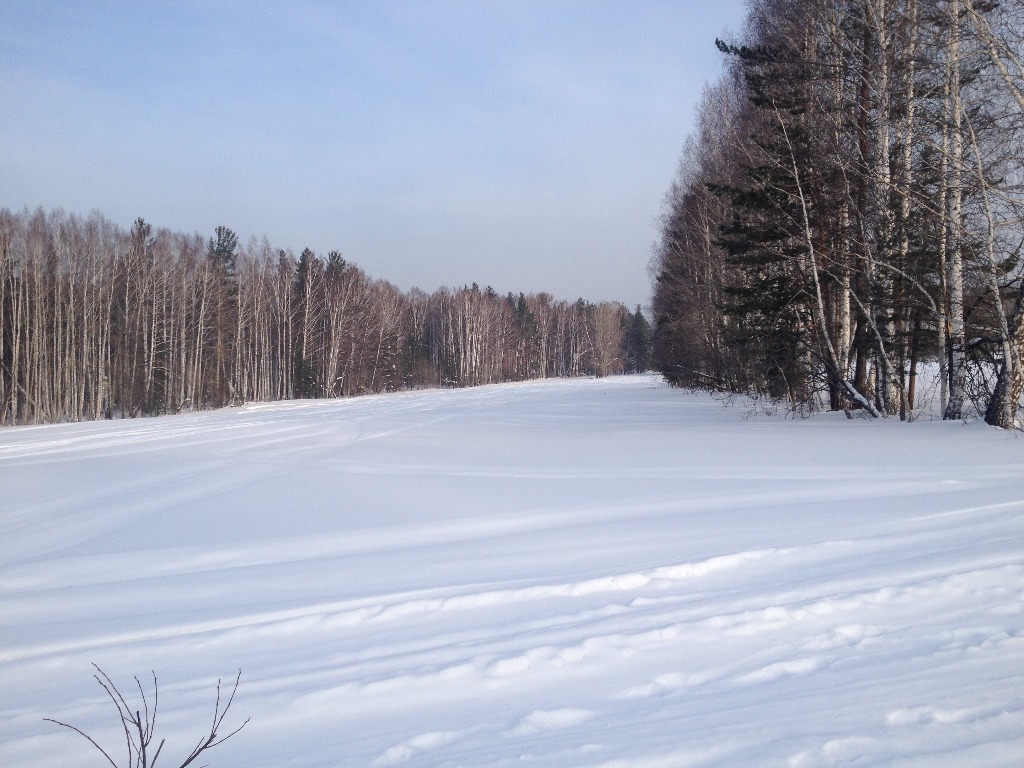 Село новоалексеевское свердловской. Новоалексеевское Первоуральск. Участки земли возле Первоуральска. Новоалексеевское Свердловская область 21 километр. Растительный мир села Новоалексеевское г Первоуральск.