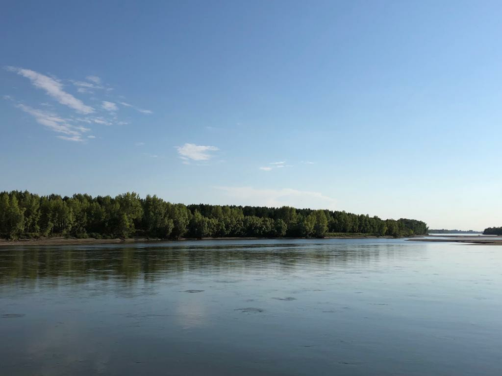 Вьюны новосибирская область колыванский. Деревня красный Яр Новосибирская область Колыванский район. Озеро красный Яр Колыванский район. НСТ берег Колыванский район.