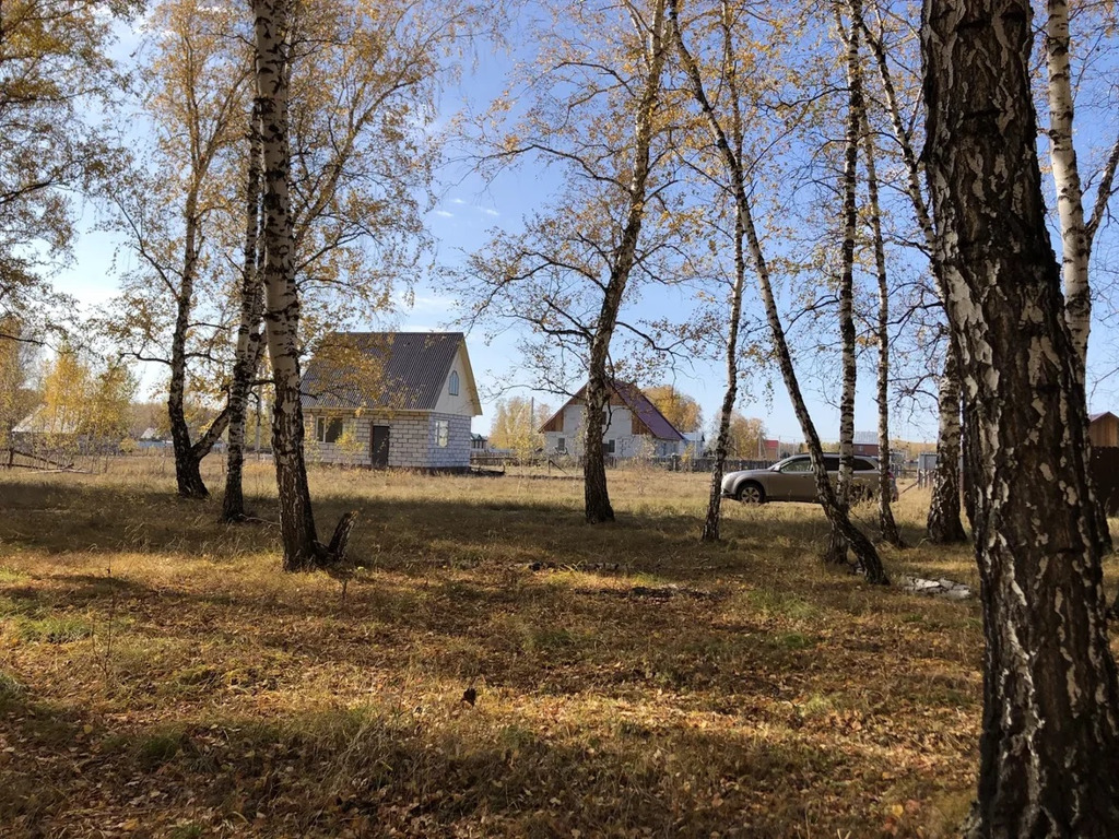 Шарап. Новый Шарап Новосибирская область. Новый Шарап Ордынский район. Село новый Шарап Ордынский район Новосибирская область. Новосибирск деревня Шарап.