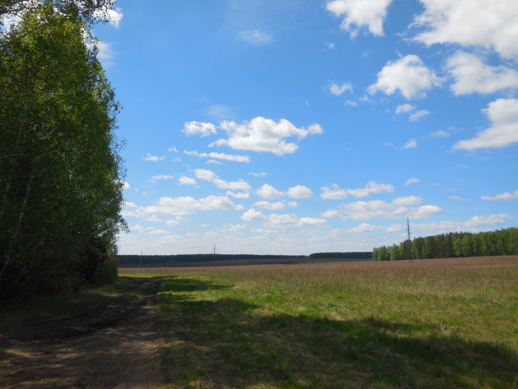 Участки в октябрьском районе. Почва Екатеринбурга. Верхняя пашня в Екатеринбурге.