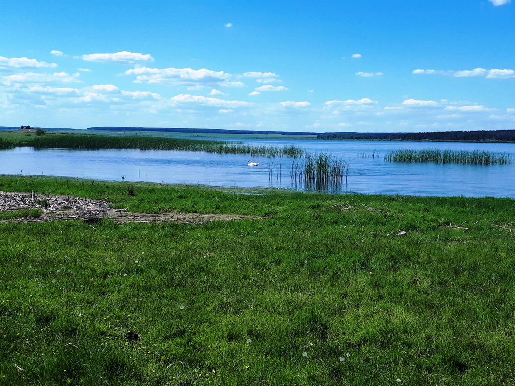 Камбулат челябинская область