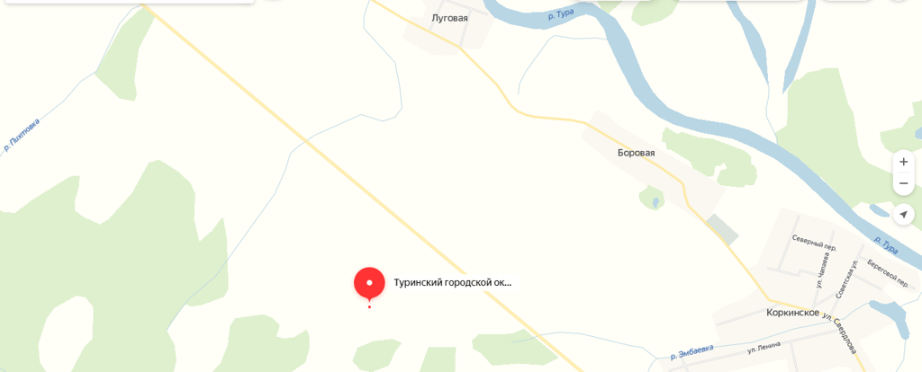 Карта города туринска