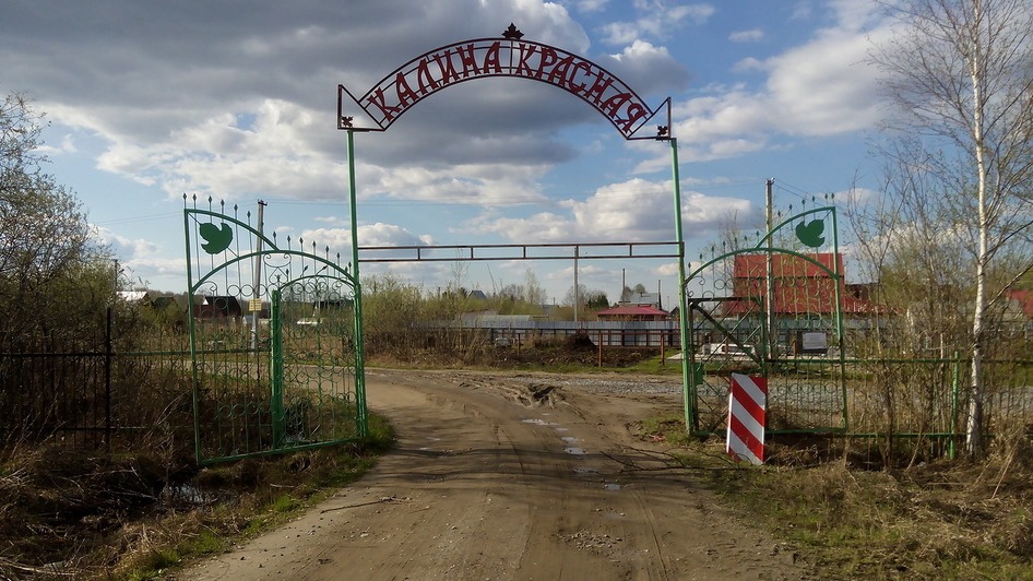 Погода катковском новосибирской обл. СНТ Калина красная в Новосибирске. Посёлок Катковский Новосибирск. Колыванский район леса.