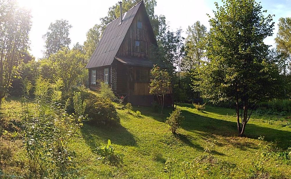 Погода в комаровке. Дача Комаровка. Комаровка Новосибирская область дачи. Дача в Комаровке Новосибирск. СНТ берёзка Новосибирской области Комаровка.