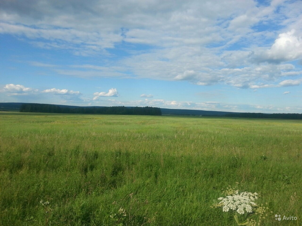 60 земля. Село Талое Емельяновский район Красноярский край. Участок 60 га. Деревня Талая Красноярский край. 1200 Гектаров фото.