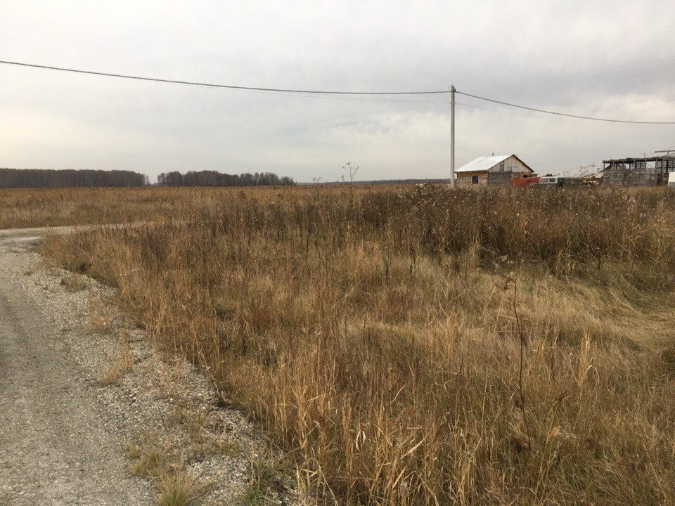 Погода в марусино. Село Марусино Новосибирская. Село Марусино. Село Марусино Новосибирская область фотографии. Село Марусино Новосибирская нет света.