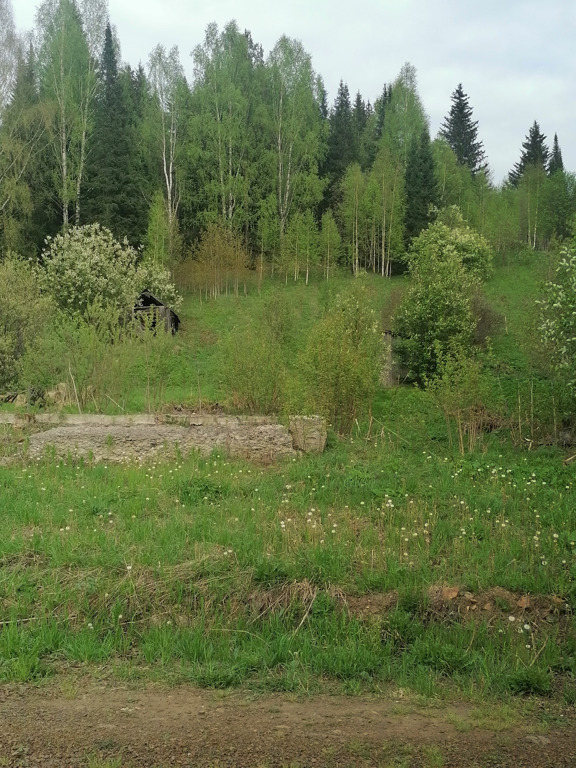 деревня шарама. участок нижние серги. участок нижние серги. участок нижние серги. нижние серги пруд чапаева.