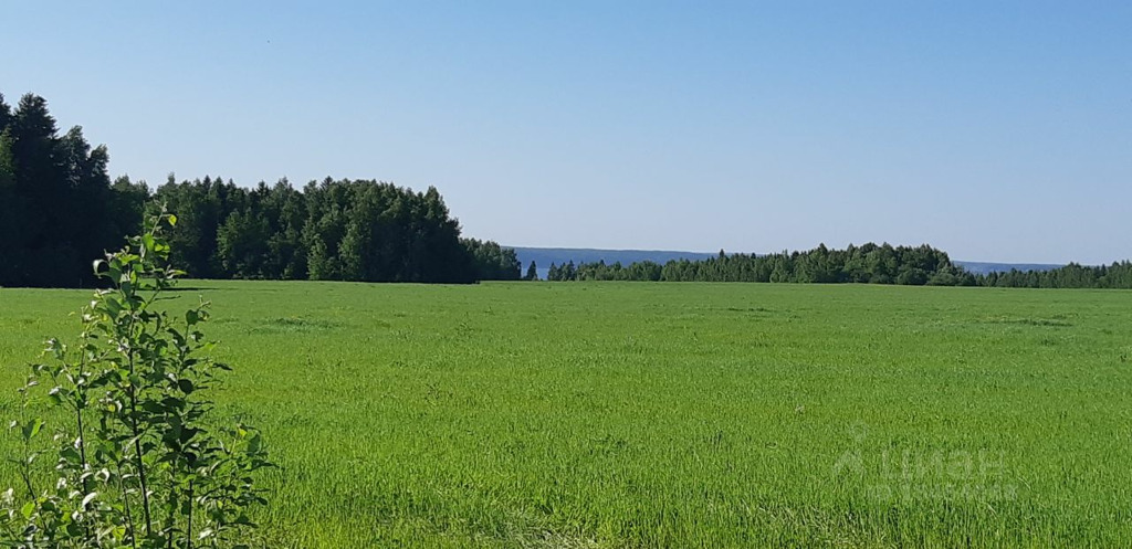 Погода в скобелевке пермский край на 10. Деревня Скобелевка Пермский край. Скобелевка Пермский край. Деревня Карасье Скобелевка Пермь. Скобелевка Пермский край на карте.