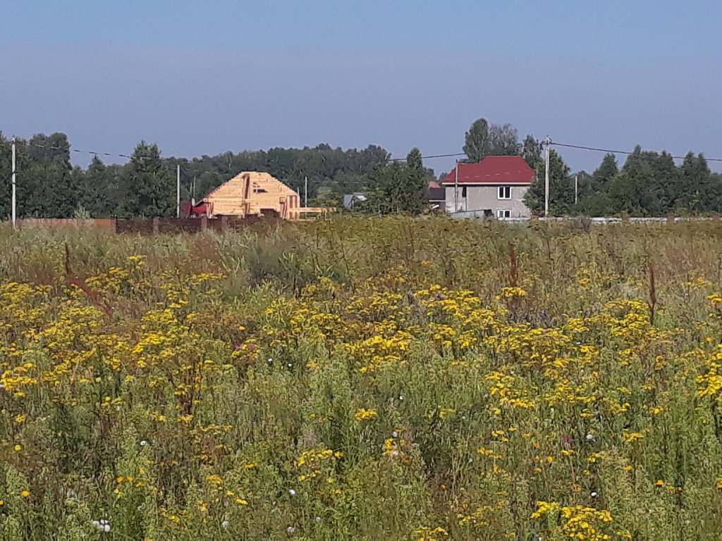 Село боровое челябинская область. Боровое НСО. Боровое Багратионовский район. Земля участки Тюмень Боровое. Зеленый Бор с.Боровое НСО.