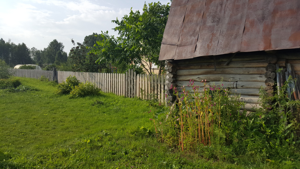 Вьюны новосибирская область колыванский. Деревня вьюны.