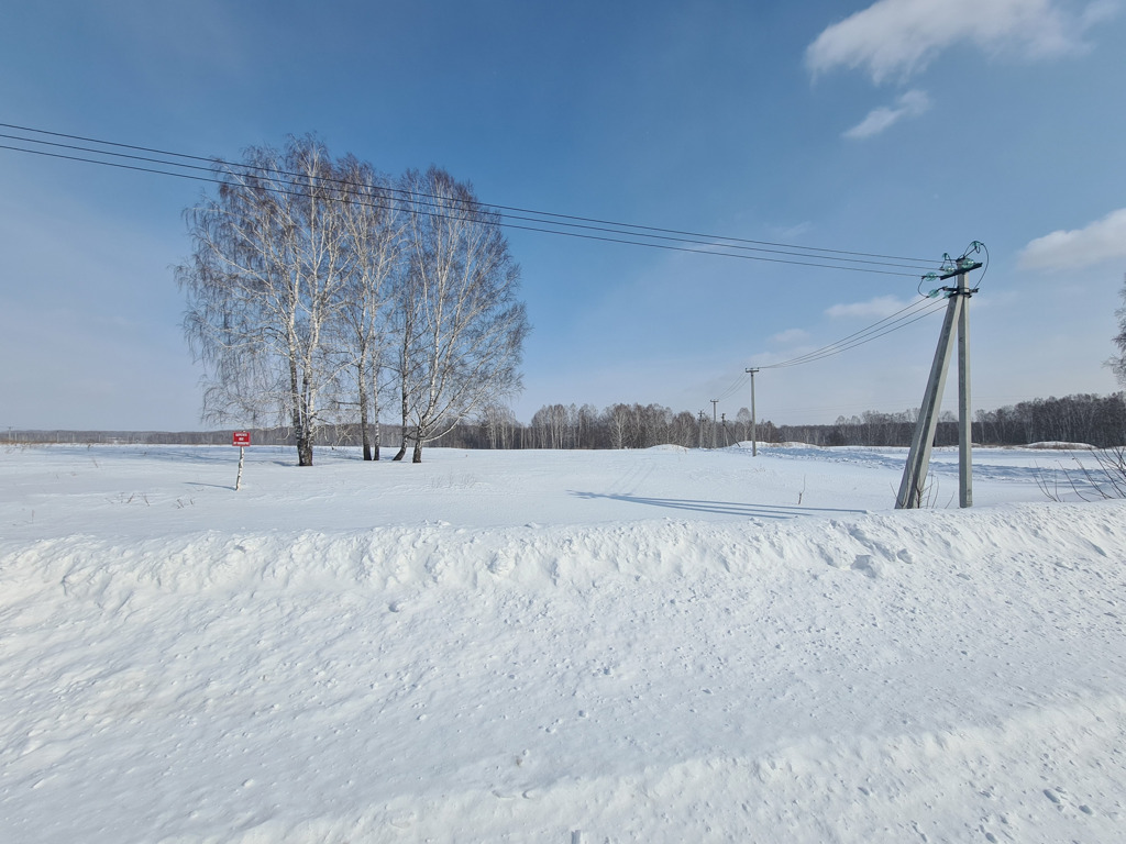 Мошкова новосибирская область погода. Природа Мошковского района зимой. Мошково зимой. Пос красный октябрь Мошковский район зимняя дорога. Трасса 2141 Новосибирской области Мошковский район фото.