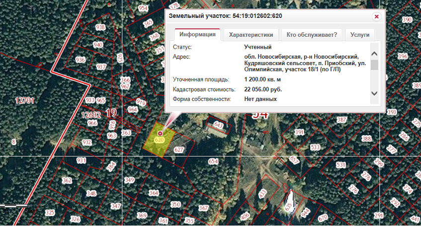 Кадастровая карта пос приобский