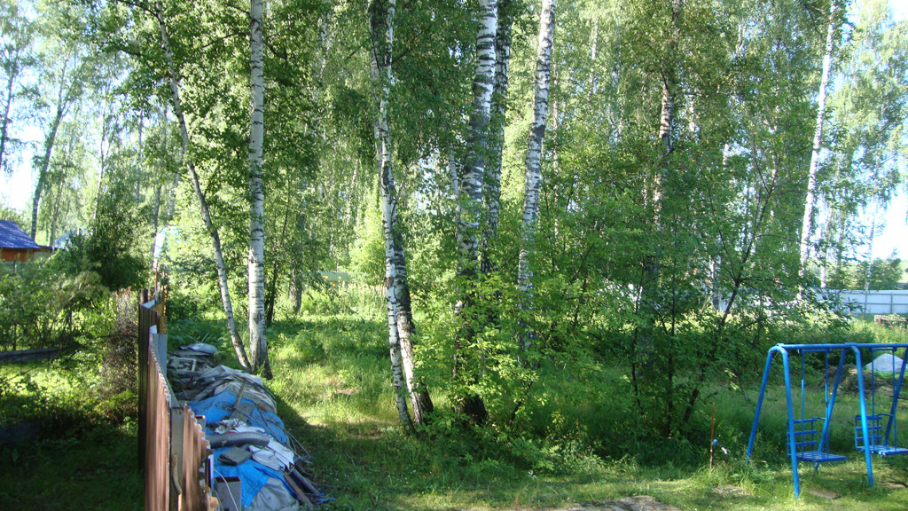 Участок новосибирская. Лес Матвеевка Новосибирск. Заобский район Новосибирска. Новосибирская область, СНТ новый мир. Озеро в Матвеевке.