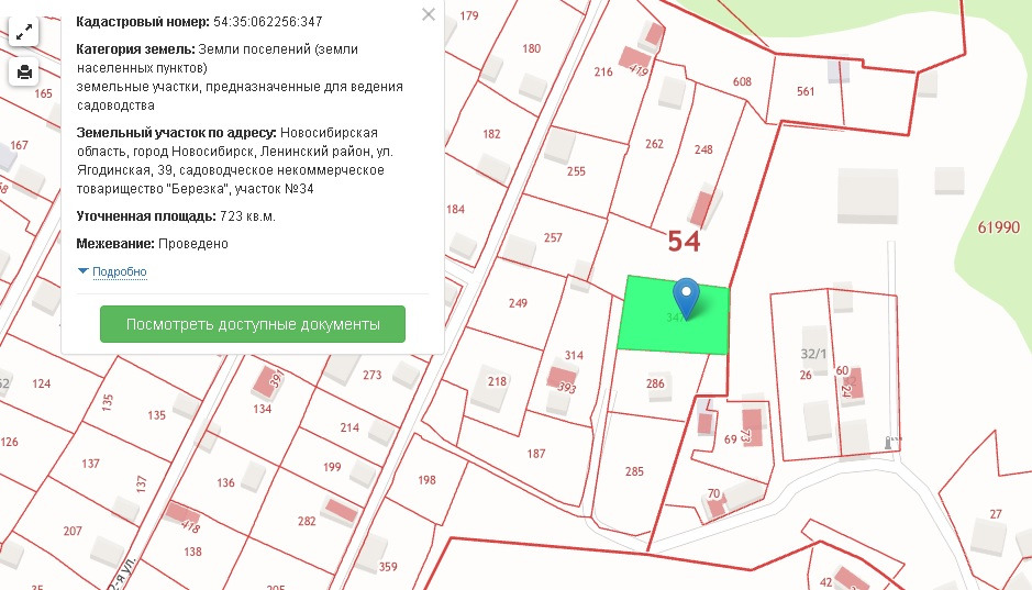 12 ленинский участок новосибирска. 12 ленинский участок новосибирска. Село ленинское новосибирская область. 12 ленинский участок новосибирска. Ленинское новосибирская область.