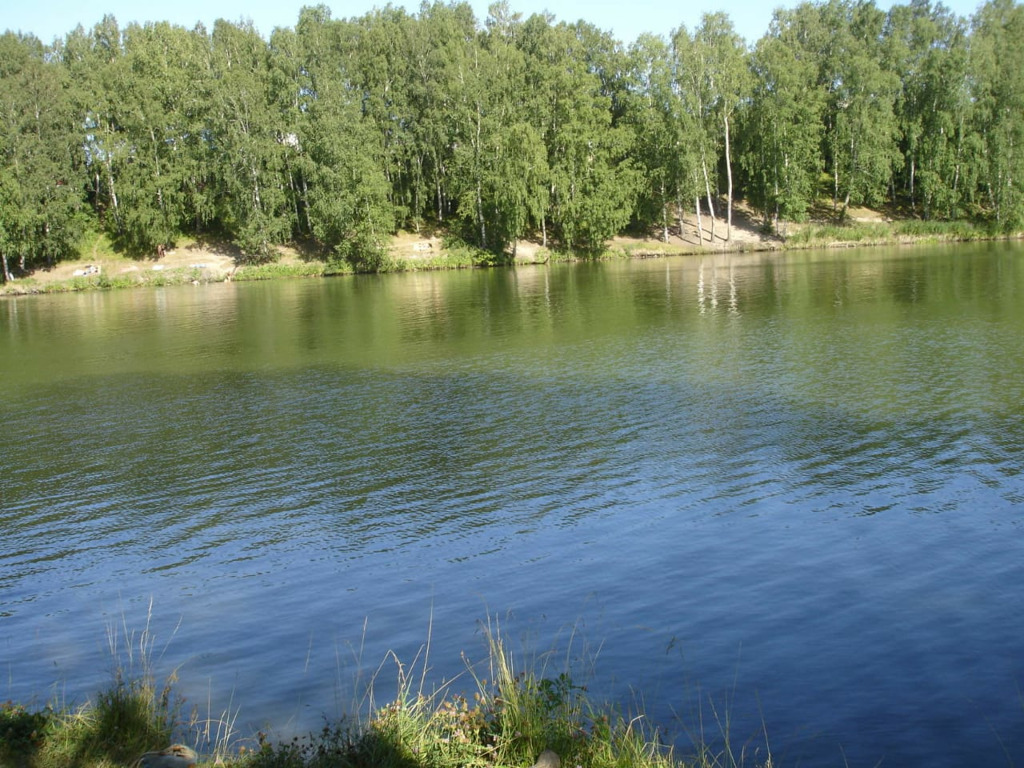 Купить озеро новосибирск. Озеро Мочище. Мочище (станция, Новосибирская область). Озеро Ранетка Новосибирск. Озеро станция Мочище.