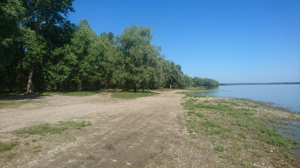 Юный ленинец новосибирск. Поселок Юный Ленинец. Поселок Юный Ленинец НСО. Юный Ленинец Новосибирск фото.