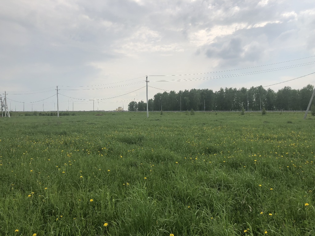 Поселок садовый. Поселок садовый микрорайон Центральный. П.садовый. Садовый Новосибирская область. Новосибирский район с/с Станционный п садовый.