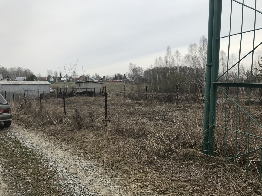 Погода в барышево новосибирская область. Погода в барышево новосибирская область. Барышево достопримечательности. Погода в барышево новосибирская область. Барышево новосибирская область.