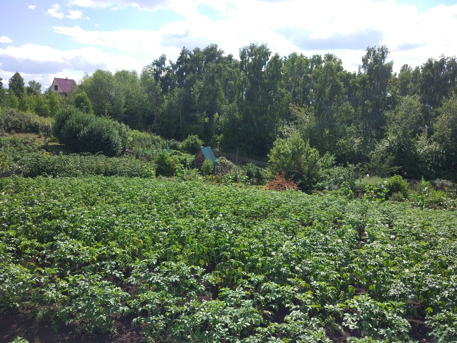 Земельные участки красноярский. Купить участок в Красноярске. Участки продажа Бугач Цимлянская Пригорная. Участок купить в Красноярске под ИЖС Октябрьский район. Купить землю в Красноярске в черте города.