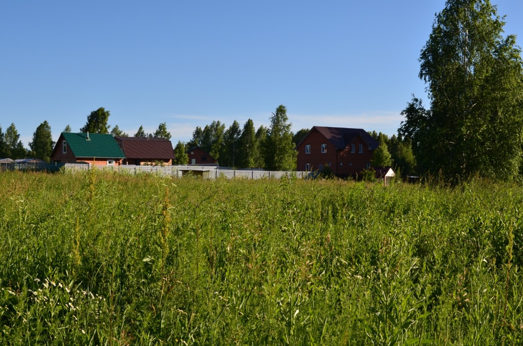 Мочище новосибирская область. Мочище Новосибирск. Село Мочище Новосибирская область. Мочище ягодный Совхоз. Новосибирская область станция Мочище авраги.