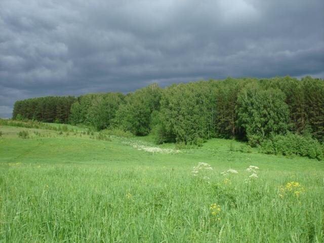 Участок новосибирская область. СНТ Кукушкино. СНТ Кукушкино Новосибирск. Озеро Мертвое, Станционный сельсовет, Новосибирский район. ДНТ Кукушкино фото.