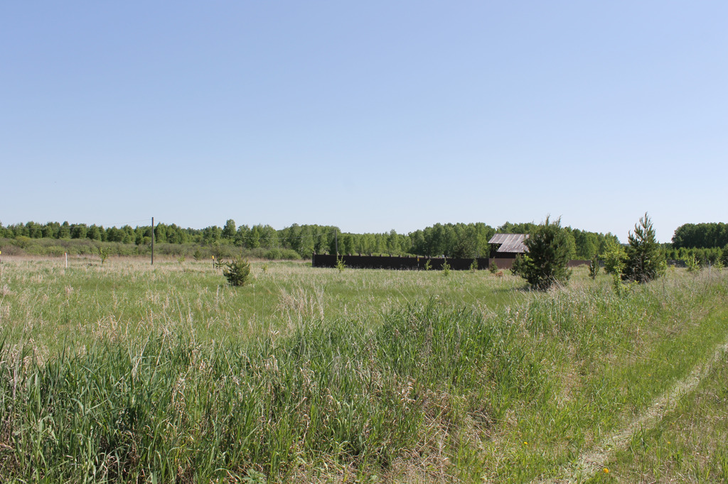 Село боровое челябинская область. Боровое Чебаркульский район. Деревня Боровое Чебаркульский район. Боровое Челябинская область Чебаркульский район. Посёлок Боровой Чебаркульский район Челябинская область.