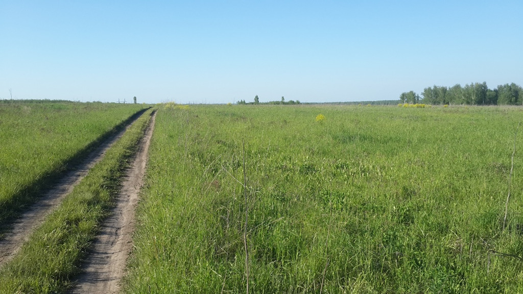 Участок новосибирская область. Мошнино Мошковский район. Село Мошнино Мошковского района Новосибирской области. Деревня Мошнино Мошковский район. НСО Мошковский р-он земельного.