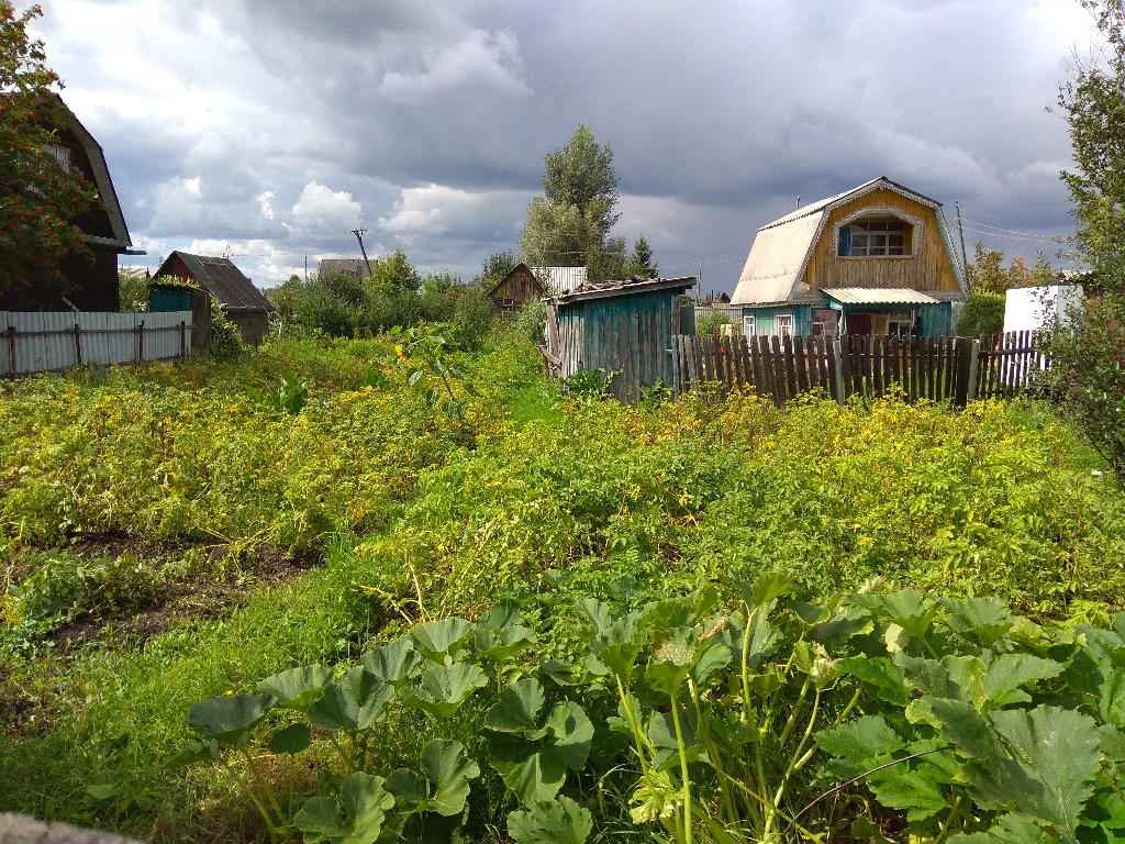 Участок новосибирская. СНТ Тополь Новосибирск Советский район. Дачный участок СНТ Тополь. Дачные участки в Новосибирске. Дачные участки СНТ Тополь Феодосия.